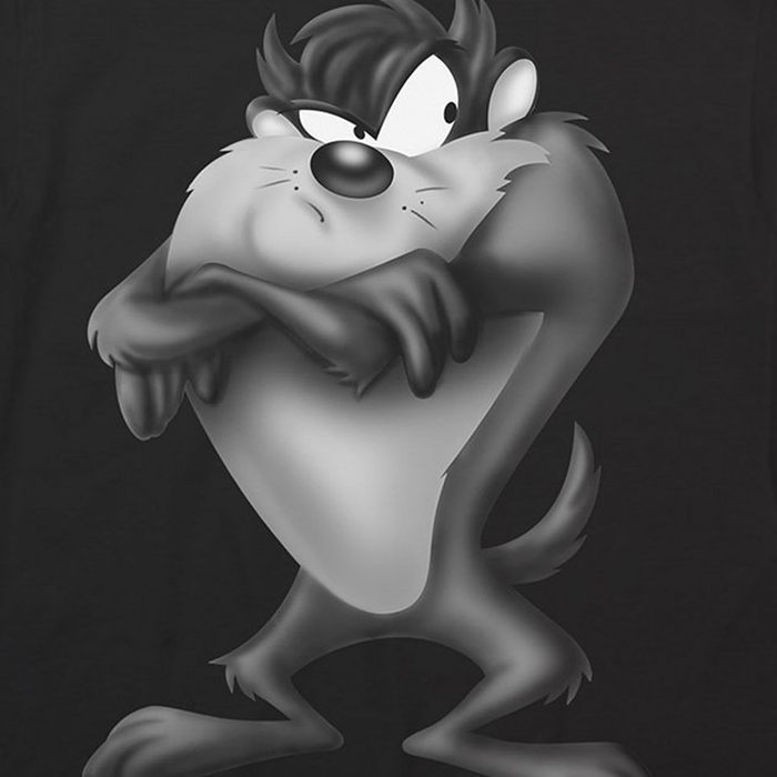 Loony Tunes- Camiseta - taz - Hombre