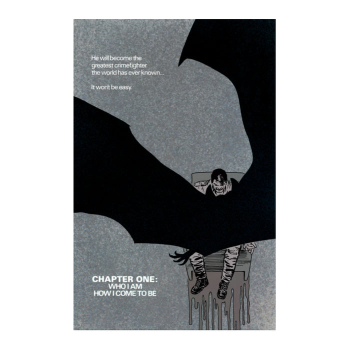 Batman: Year one - Novela Gráfica - Inglés